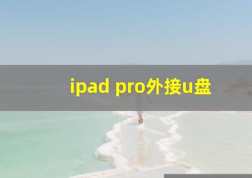 ipad pro外接u盘